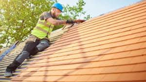 Best Roof Moss and Algae Removal  in Ridgeland, SC