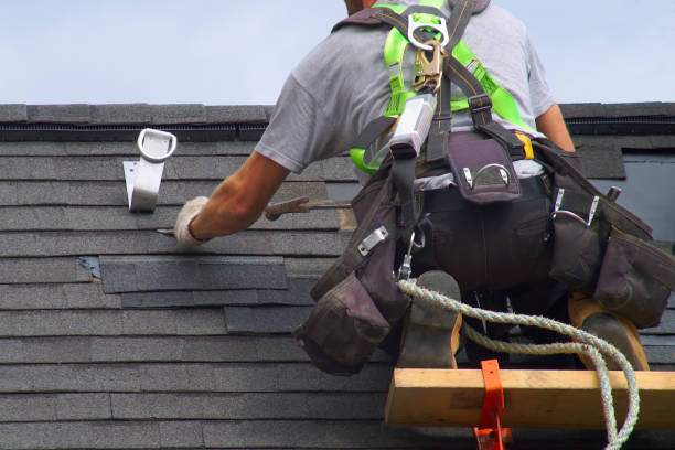 Best Green or Eco-Friendly Roofing Solutions  in Ridgeland, SC