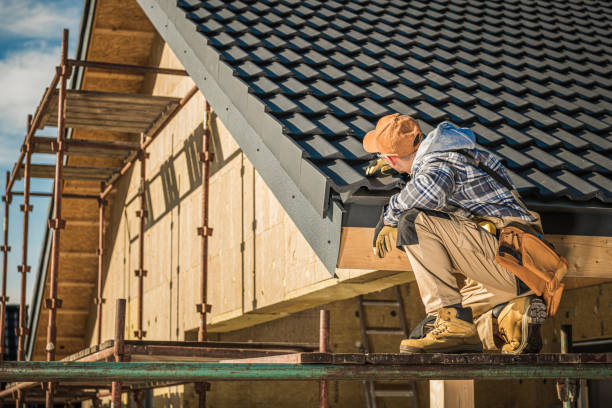Best Roof Insulation Installation  in Ridgeland, SC