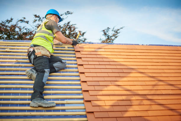 Best Gutter Installation and Repair  in Ridgeland, SC