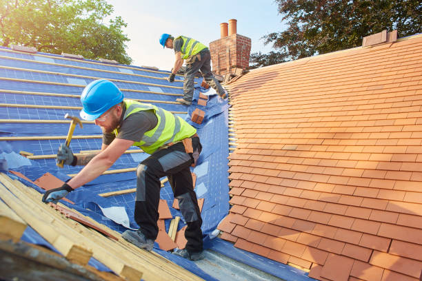 Best Roof Maintenance and Cleaning  in Ridgeland, SC
